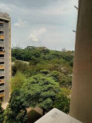 Blk 716 Clementi West Street 2 (Clementi), HDB 4 Rooms #527341671
